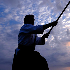 Aikikai Dojo, Aikido Teacher, Bristol